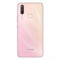 Vivo Y17