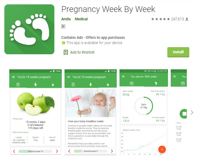 Pregnancy Week By Week