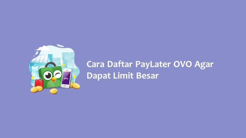 Cara Daftar PayLater OVO Agar Dapat Limit Besar