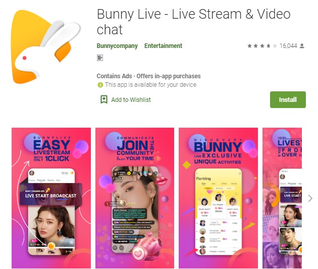 Bunny Live