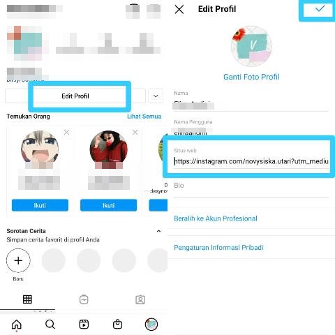 Edit Profil IG