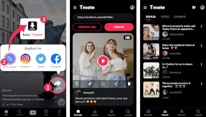 Video Downloader for TikTok No Watermark Tmate