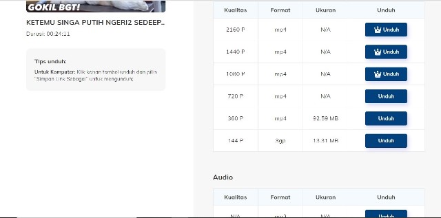 Pemilihan Format dan Resolusi