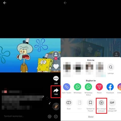 Cara Video TikTok Jadi Wallpaper