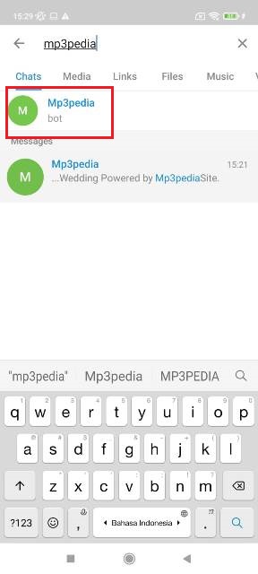 Bot Musik