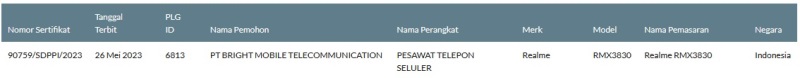 Sertifikasi Postel Realme RMX3830 Sertifikasi Postel Realme RMX3830