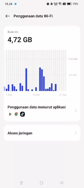 detail penggunaan data Wifi