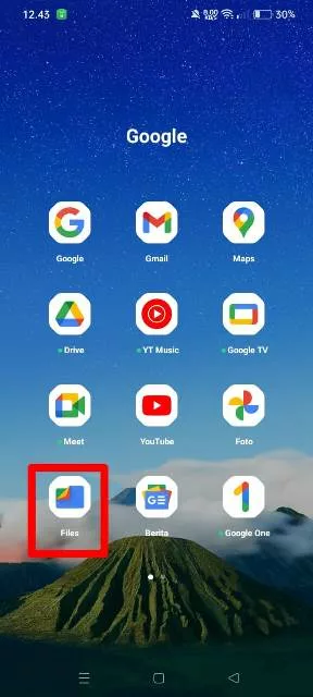Google Files