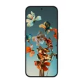 Nothing Phone (2a) Plus