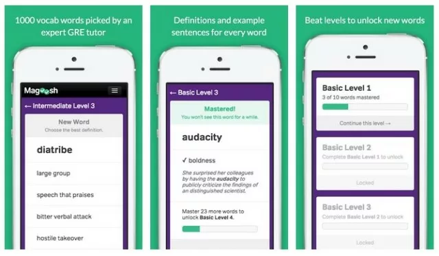 Vocabulary Builder