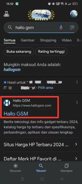 Web Hallo GSM