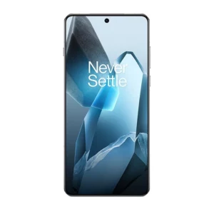 OnePlus 13