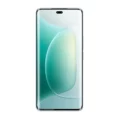 Honor 300 Pro