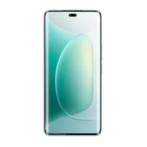Honor 300 Pro