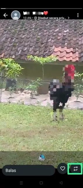 repost story WA