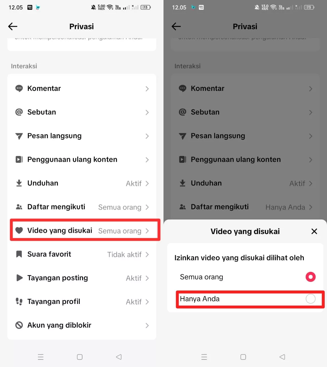 sembunyikan video yang disukai di TikTok sembunyikan video yang disukai di TikTok
